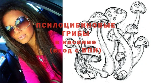 круглые Карталы