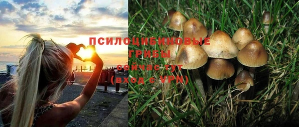 a pvp Карпинск